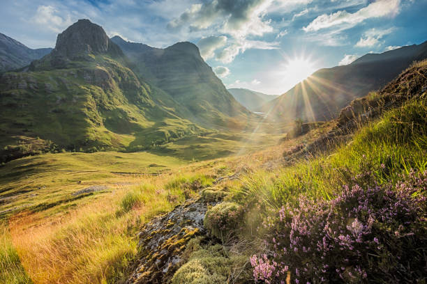 Scottish Highlands bathed in golden sunshine